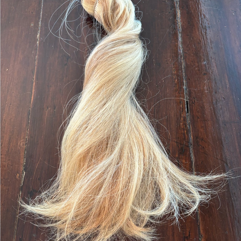 Euronext Blonde Frost Human Clip In Hair Extensions 18”